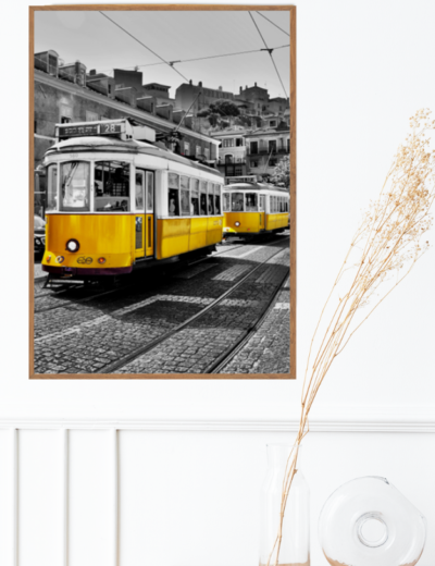 Tranh_đen_trắng_11