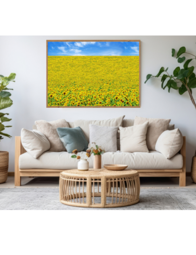 Tranh_hoa_ hướng_dương_1