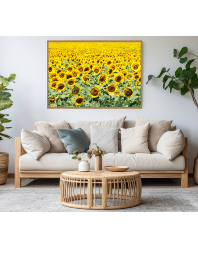Tranh_hoa_hướng_dương_6