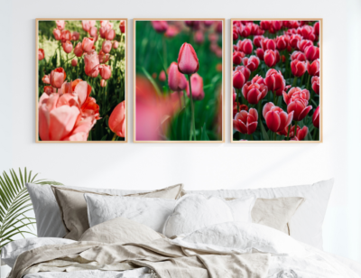 Tranh_hoa_tulip_4