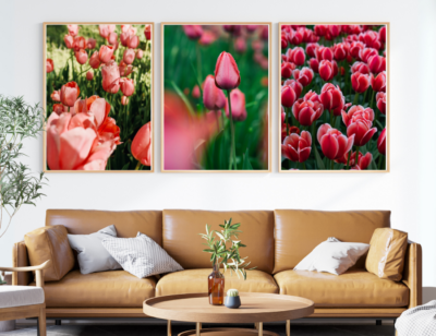 Tranh_hoa_tulip_4