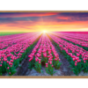 Tranh_phong_cảnh _23