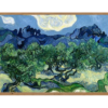 Những-Cây-Oliu-Vùng-Alpilles-của-Van-Gogh-VG5