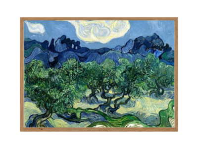 Những-Cây-Oliu-Vùng-Alpilles-của-Van-Gogh-VG5